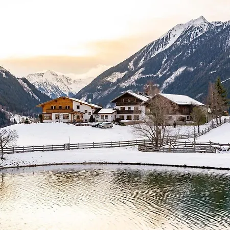 Braunhofer Schladming